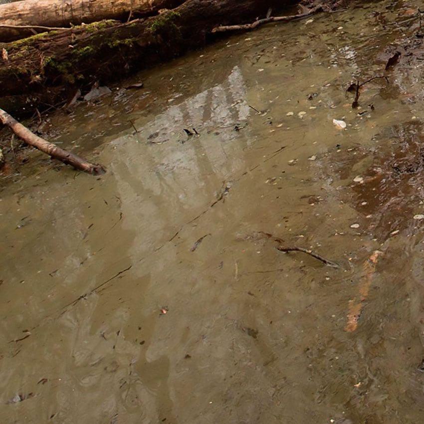 AK Interactive: Water Gel Swamp Green Effects (250ml Acrylic) - product image 1