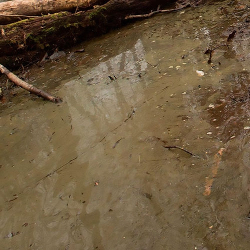 AK Interactive: Water Gel Swamp Green Effects (250ml Acrylic) - product image 1