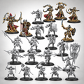 Warmachine: Orgoth Sea Raiders Core Expansion, product