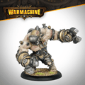 Warmachine: Warden