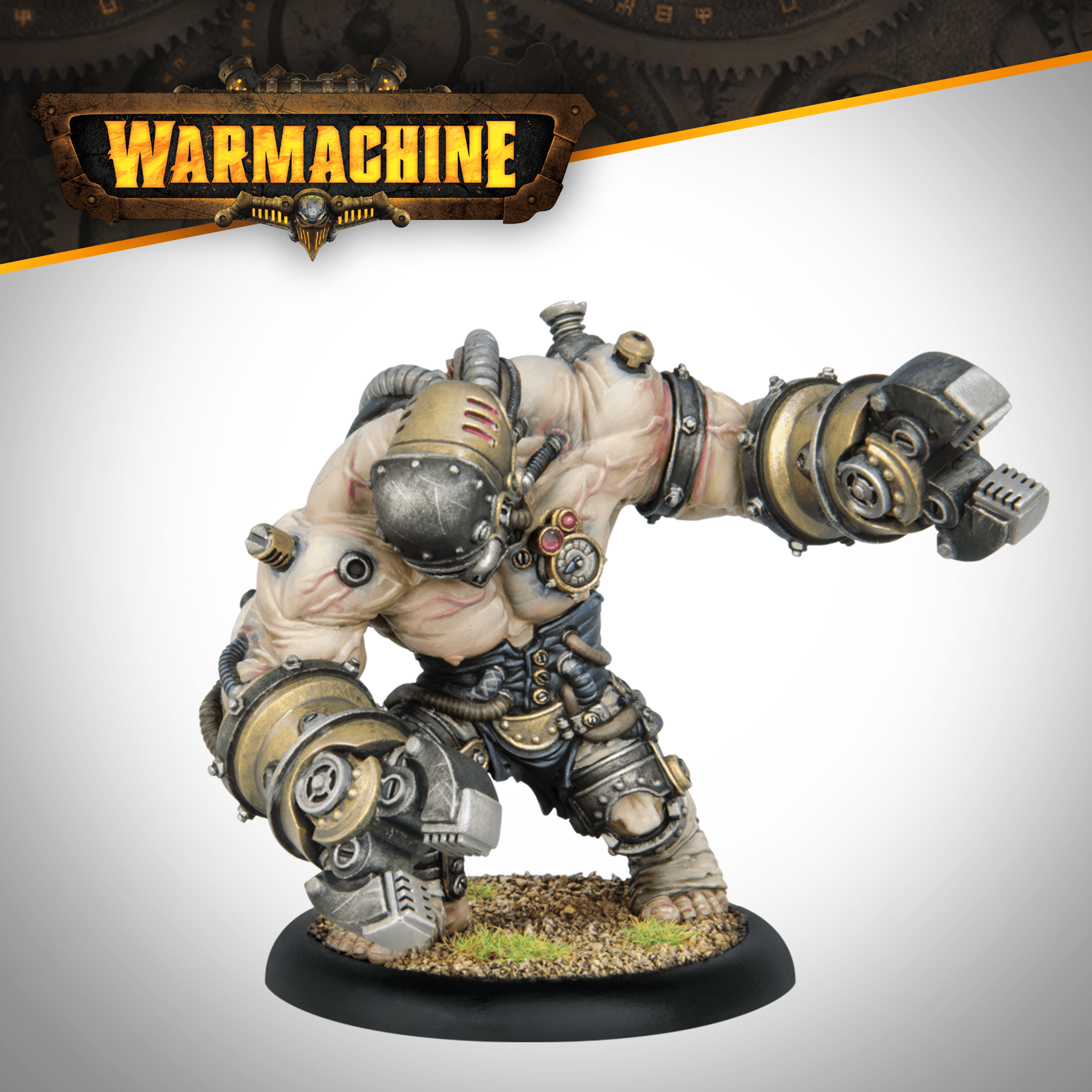 Warmachine: Warden