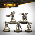 Warmachine: Dark Operations Drudge Slayers Unit A
