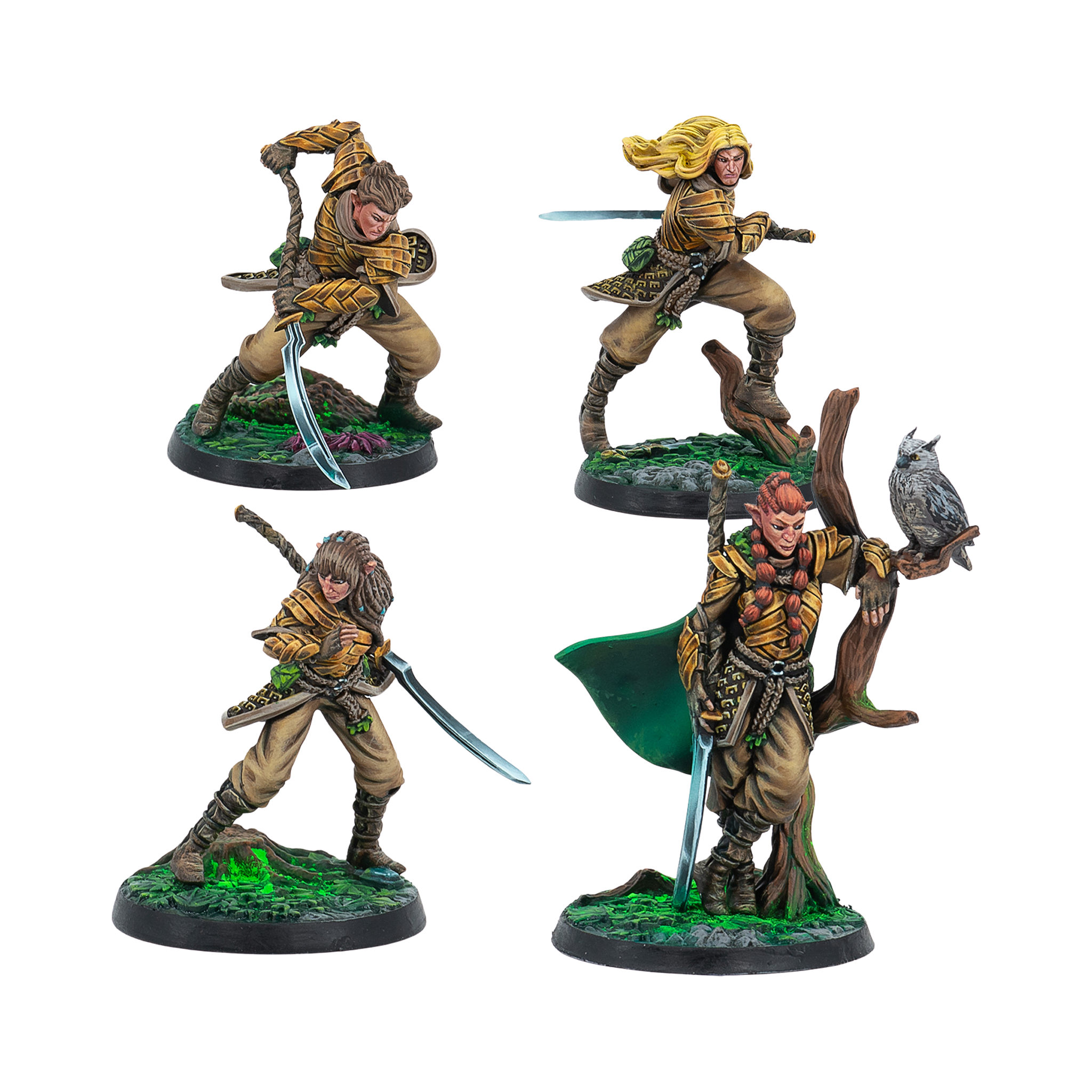 Sÿena Wardens