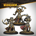Warmachine: Warwitch Coven