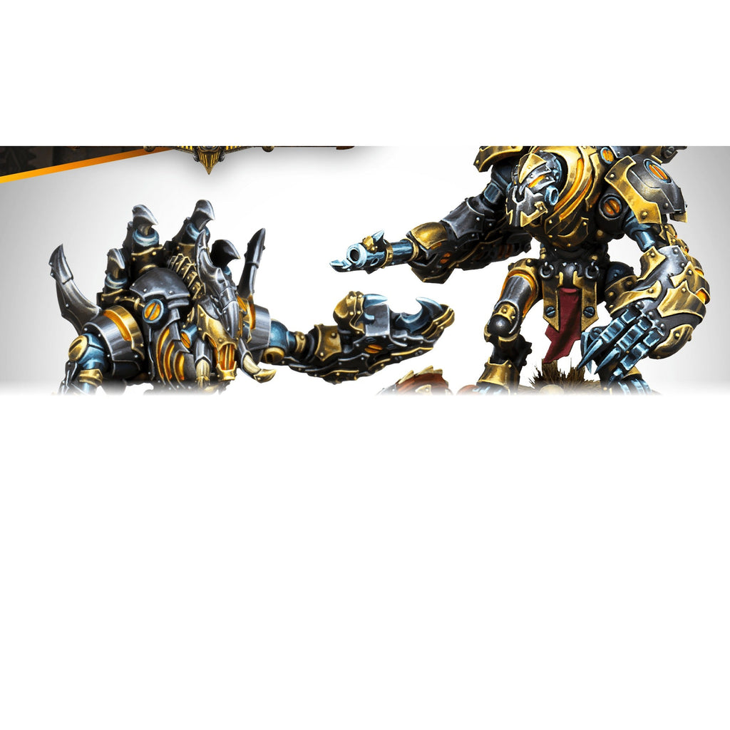 Warmachine: Orgoth Sea Raiders Battlegroup Box