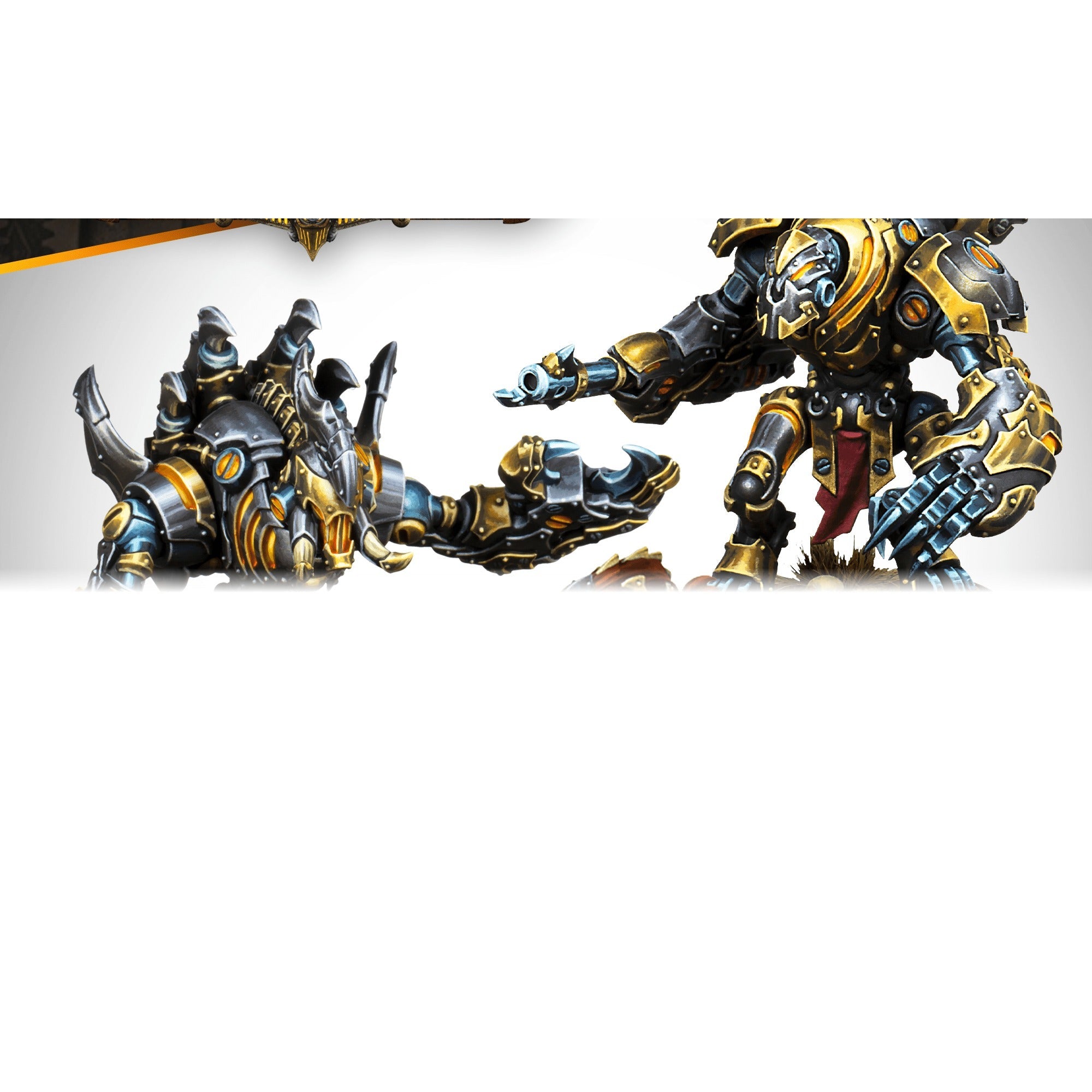 Warmachine: Orgoth Sea Raiders Battlegroup Box
