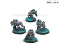 Taigha Creatures